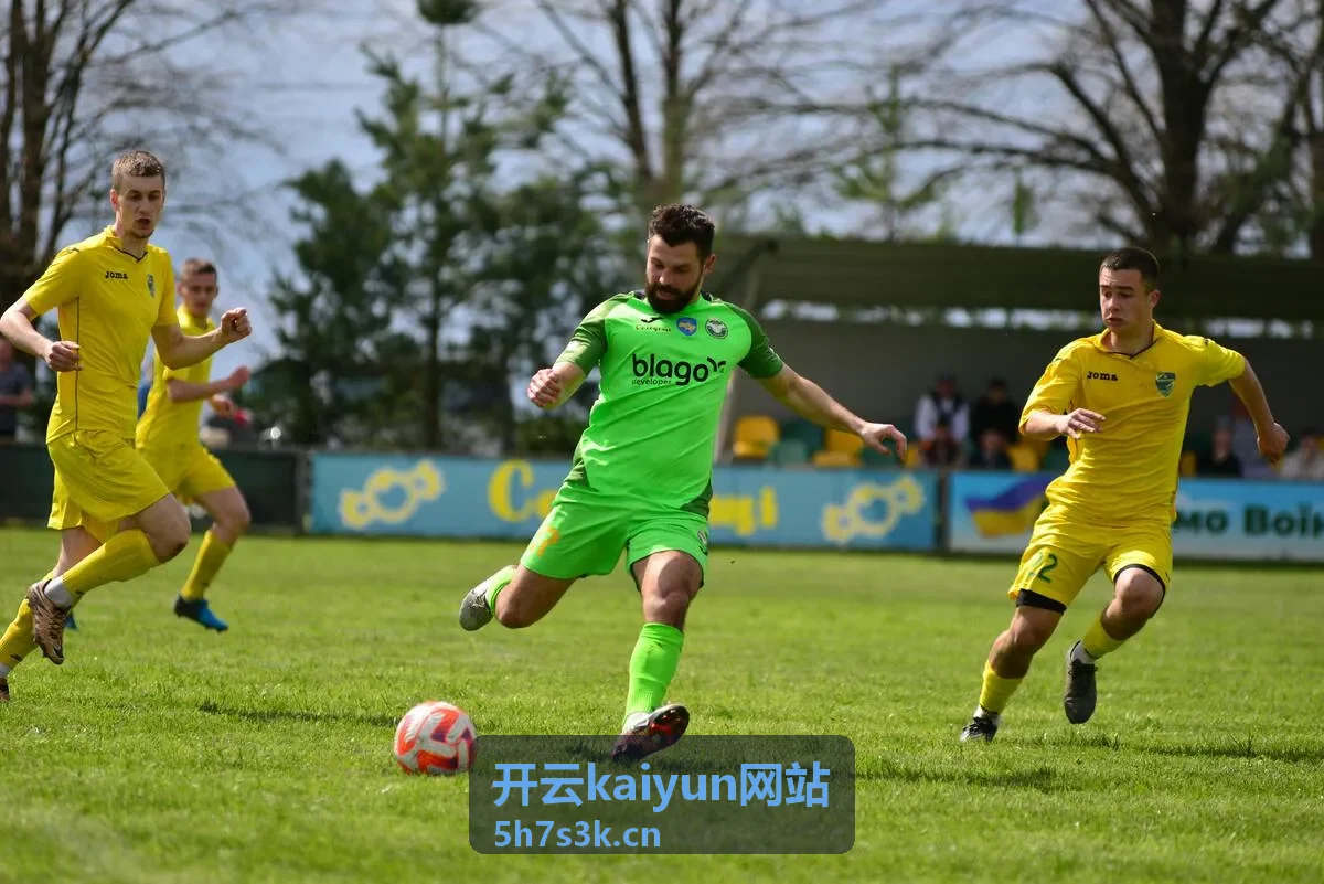 开云kaiyun网站服务台受理与分派界面示意