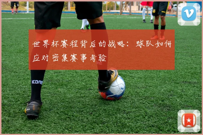 世界杯赛程背后的战略：球队如何应对密集赛事考验