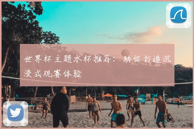 世界杯主题水杯推荐：助你打造沉浸式观赛体验