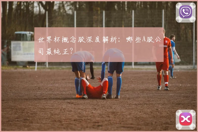 世界杯概念股深度解析：哪些A股公司最纯正？