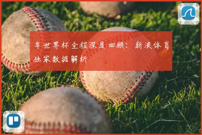 年世界杯全程深度回顾:新浪体育独家数据解析