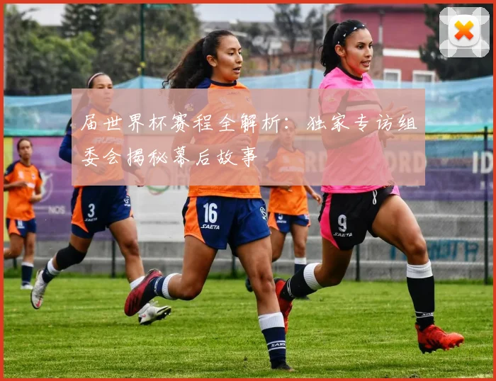 届世界杯赛程全解析：独家专访组委会揭秘幕后故事