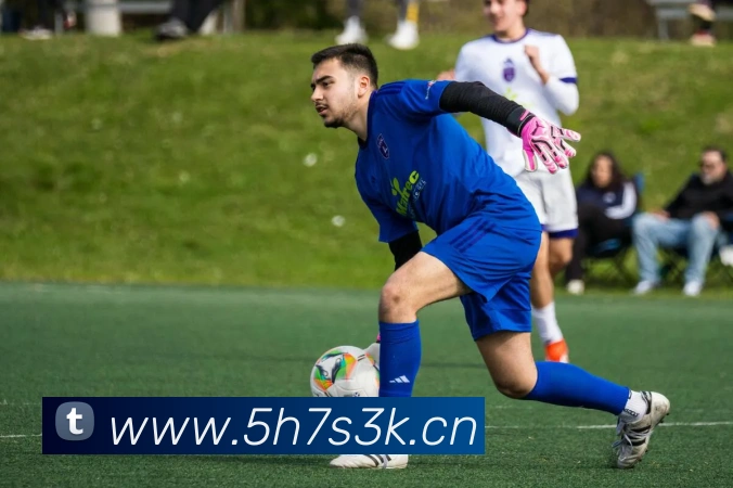 星空(中国)官方网站平台生态图